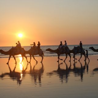 Cable Beach: 1-Hour Sunset Camel Ride
