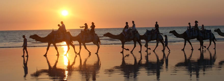 Au nord de Rocks, à Cable Beach : balade à dos de chameau d'une heure au coucher du soleil