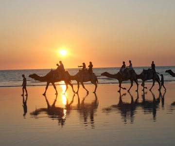 Cable Beach: Giro in cammello al tramonto della durata di 1 ora