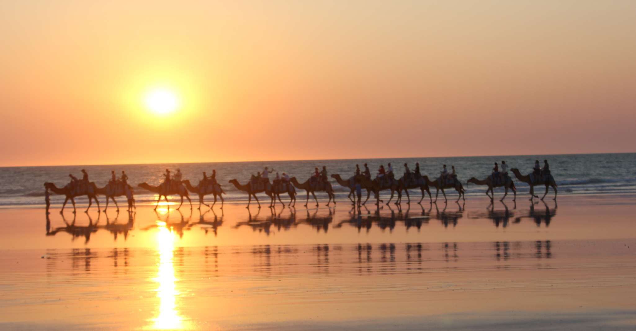 Cable Beach, 1-Hour Sunset Camel Ride - Housity