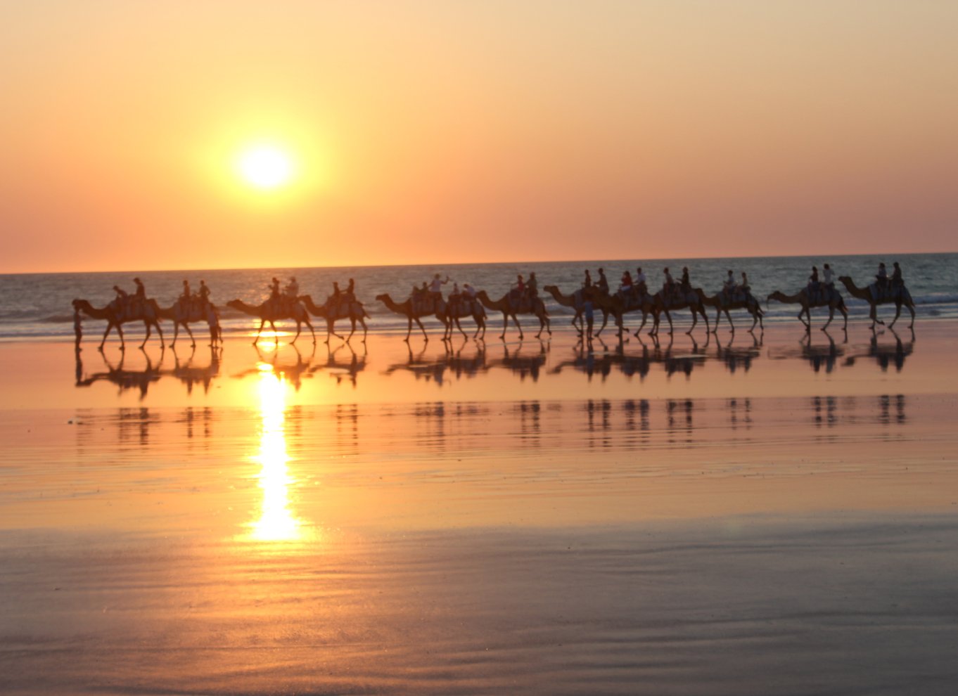 Cable Beach: 1 times kameltur ved solnedgang