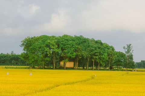 Hanói: salsa de soja, pueblo de los vermicelli y pagoda Thang NghiemTour privado: pueblo de la salsa de soja, pagoda, pueblo del incienso y sombreros
