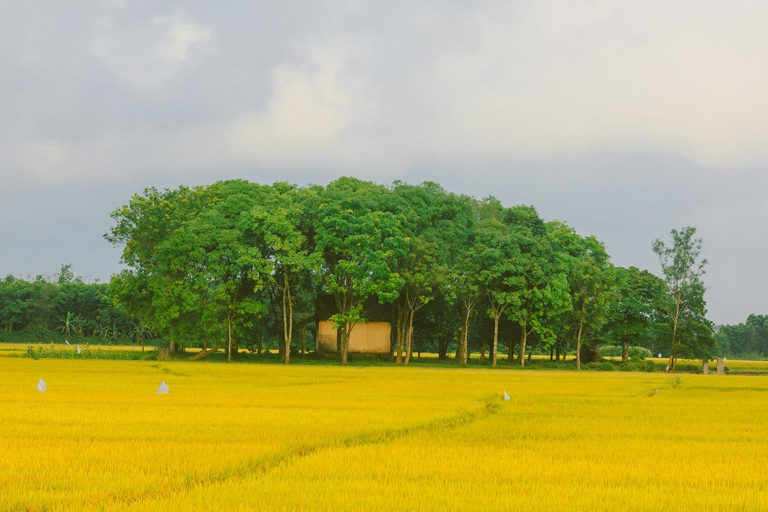 Hanói: salsa de soja, pueblo de los vermicelli y pagoda Thang NghiemTour privado: pueblo de la salsa de soja, pagoda, pueblo del incienso y sombreros