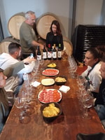 Guided vineyard&cellar tour + 6 wine tasting with tapas - Housity