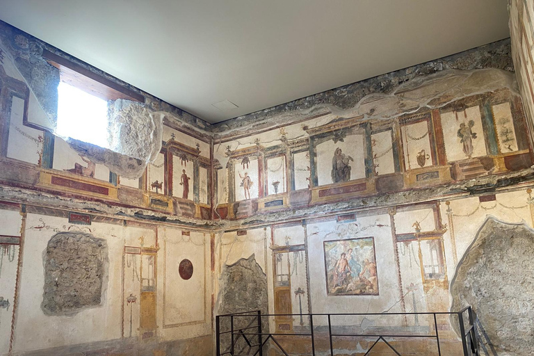 Pompeii: Guided Tour with a Local Expert Guide