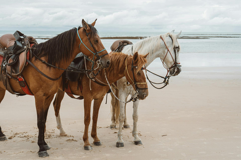 Saint John: Horseback Ride with Beach & Countryside Options 1-Hour Coastal Countryside Ride