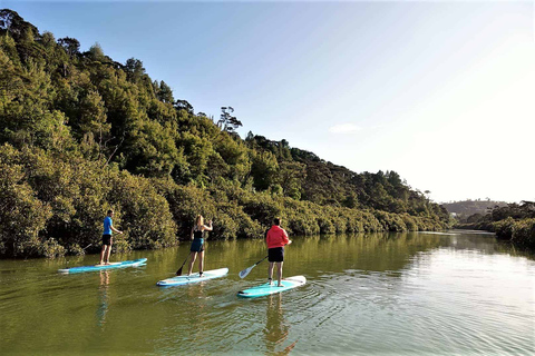 Excursión SuP a la Cascada de Lucas Creek