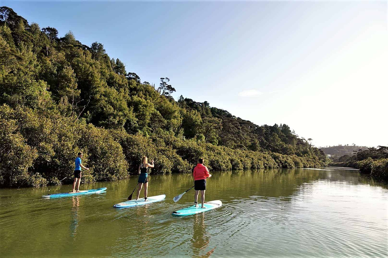 Excursión SuP a la Cascada de Lucas Creek