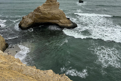 Paracas: Sightseeing Tour of the Ballestas Islands and National Reserve