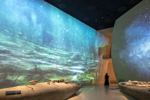 Tour guidato della città di Doha