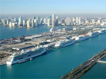Everglades und Miami: Landausflug für Kreuzfahrtgäste Everglades und Miami: Landausflug für Kreuzfahrtgäste