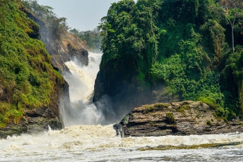 Ouganda : Tour en bateau avec gorilles, safaris en bateau et nature
