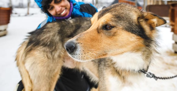 Tromsø: Husky Sledding Adventure with Soup & Transfers