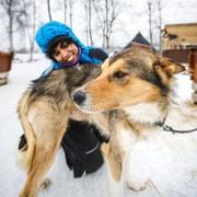 Tromsø: Husky Sledding Adventure with Soup & Transfers