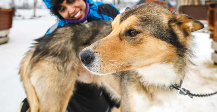 Traîneau à huskys avec soupe et transferts