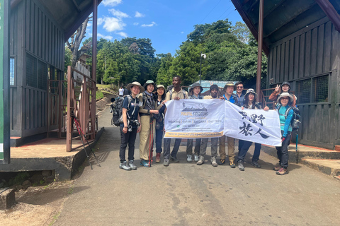 Kilimanjaro: Mount Kilimanjaro 5-Day Marangu Route Trek