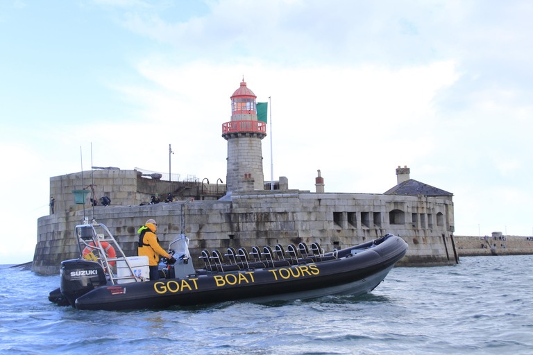 Dublin : tour en bateau avec commentaires en direct sur l&#039;histoire et la faune