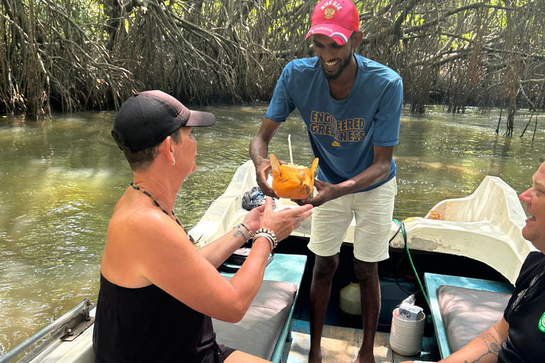 2h Bentota River Safari: Crocs, Monkeys, Mangrove & more