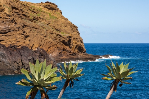 From Funchal: Best of Madeira's West Tour Madeira: Best of the West Private Tour from Funchal