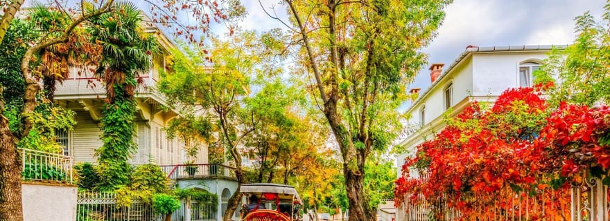 Istanbul : croisière aux îles des Princes avec déjeuner et guide