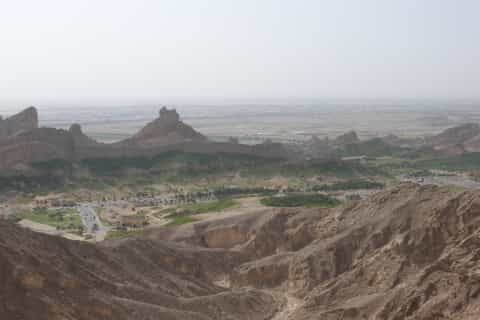 Dubai: Al Ain Garden City with Conservation Zoo