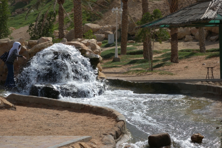 Dubai: Al Ain Garden City met Conservation Zoo