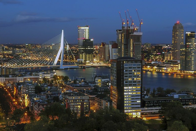 Amsterdam: excursion privée d'une journée à La Haye, Delft et Rotterdam