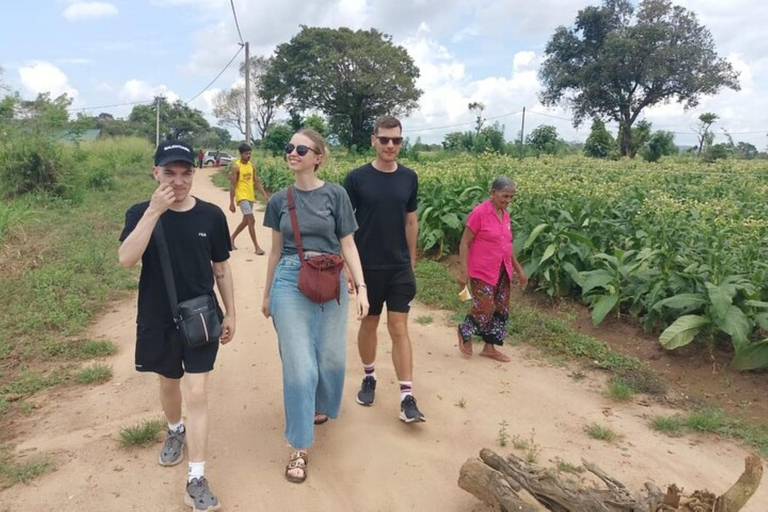 From Colombo: Dambulla, Sigiriya, and Jeep Safari Day Trip
