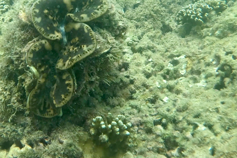 DAR ES SALAAM: MBUDYA EILAND SNORKELTOUR &amp; STRANDVIBES