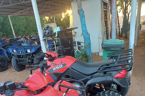 ÉMIRATS ARABES UNIS : Aventure dans le désert en quad ou en buggy des dunes