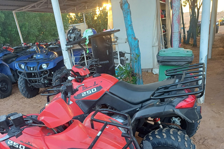 ÉMIRATS ARABES UNIS : Aventure dans le désert en quad ou en buggy des dunes