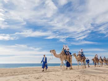 Cabo San Lucas: Camel Safari Tour with Lunch and Tequila