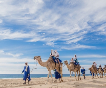 Cabo San Lucas : Circuit de safari à dos de chameau avec déjeuner et tequila