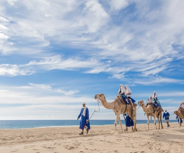 Cabo San Lucas: Camel Safari Tour with Lunch and Tequila