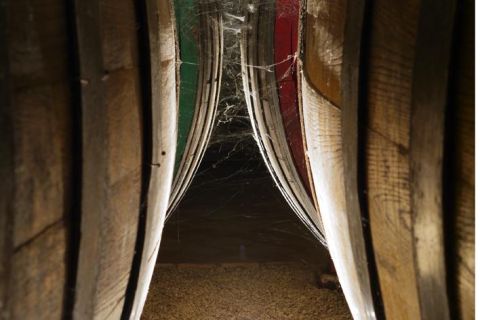 De Naples : Circuit des vins d'Irpinia avec 6 dégustations