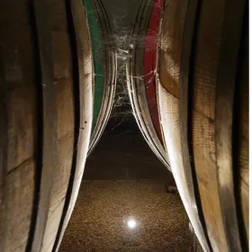 Von Neapel aus: Irpinia Wein-Tour mit 6 Verkostungen