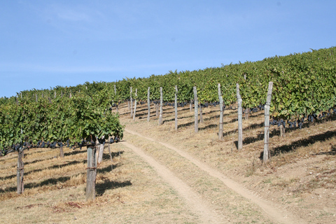 De Nápoles: Tour de vinhos em Irpinia com 6 degustaçõesDe Nápoles: Irpinia Wine Tour com 6 degustações