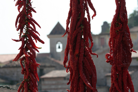 De Nápoles: Tour de vinhos em Irpinia com 6 degustaçõesDe Nápoles: Irpinia Wine Tour com 6 degustações