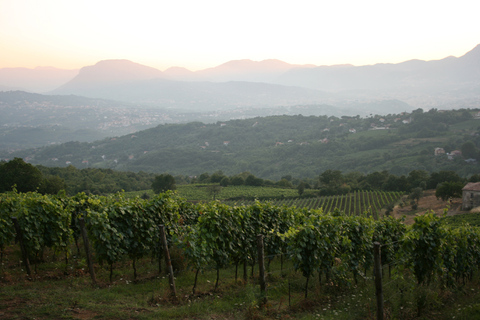 De Nápoles: Tour de vinhos em Irpinia com 6 degustaçõesDe Nápoles: Irpinia Wine Tour com 6 degustações