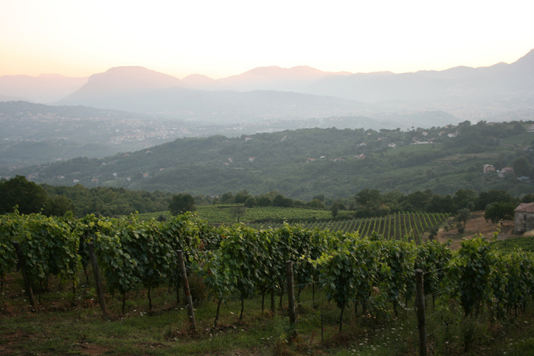 From Naples: Irpinia Wine Tour with 6 Tastings