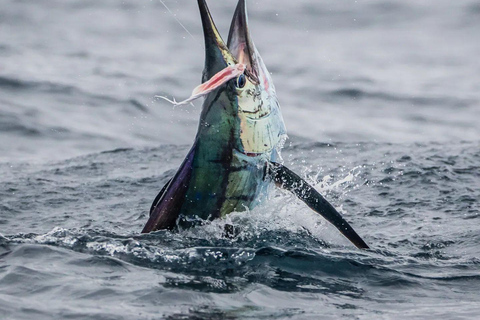 Fishing sporting zanzibar