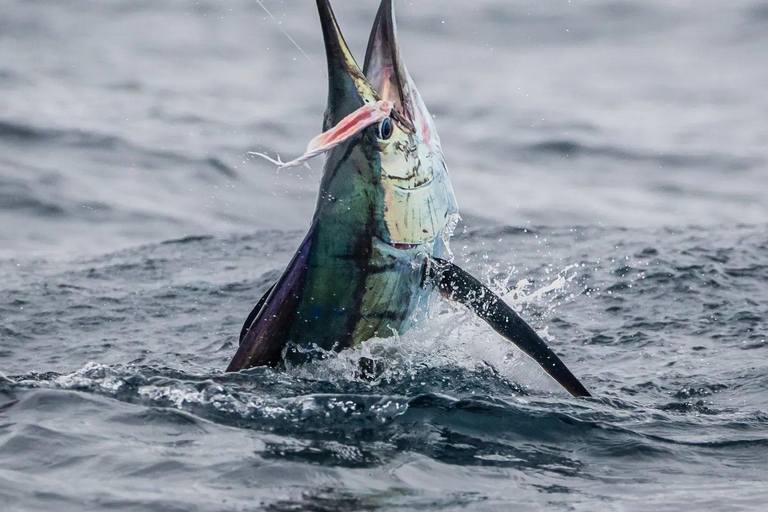 Fishing sporting zanzibar