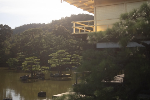 Kyoto Vroege Vogels Tour met Engelssprekende gids