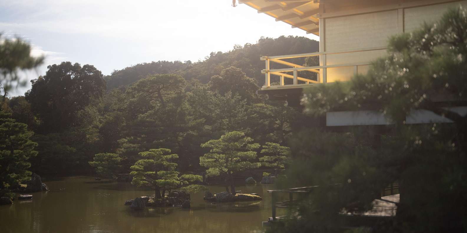Kyoto experience — temples, geisha, bamboo grove — image 8