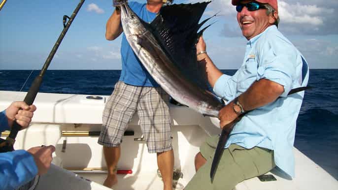 fort lauderdale 4hour sport fishing shared charter
