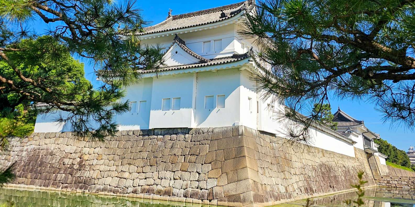 Kyoto experience — temples, geisha, bamboo grove — image 8