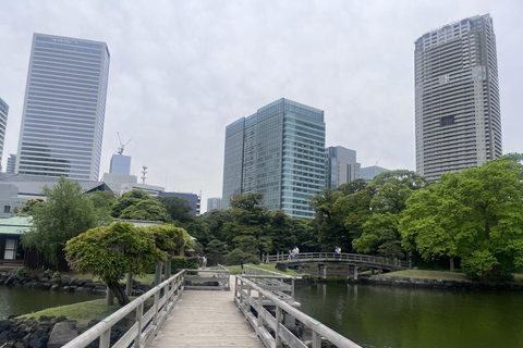 Tokyo Highlights Tour: Sumo, Sushi, Tea, and Tokyo Tower