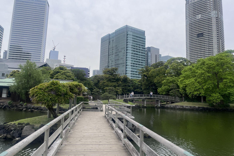 Passeio pelos destaques de Tóquio: Sumô, Sushi, Chá e Torre de Tóquio