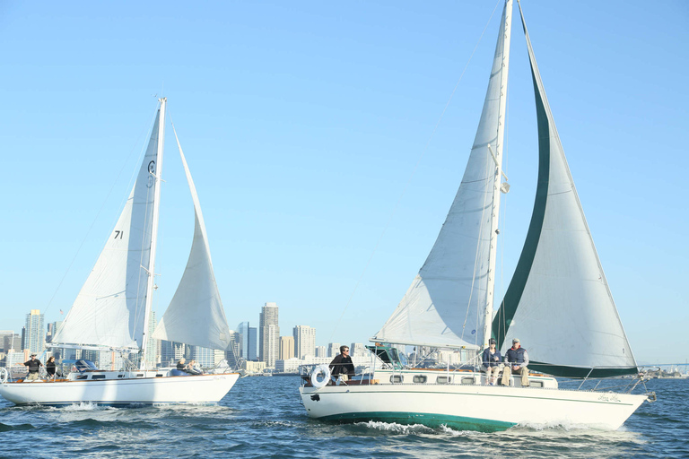 San Diego: Private 2-stündige Segeltour für 3-6 Personen