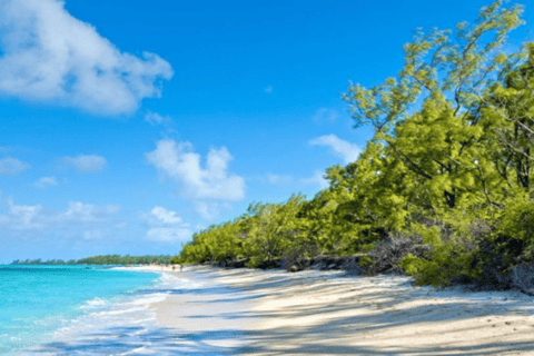 Ile Aux Cerfs Crucero de lujo en catamarán con snorkel y almuerzo